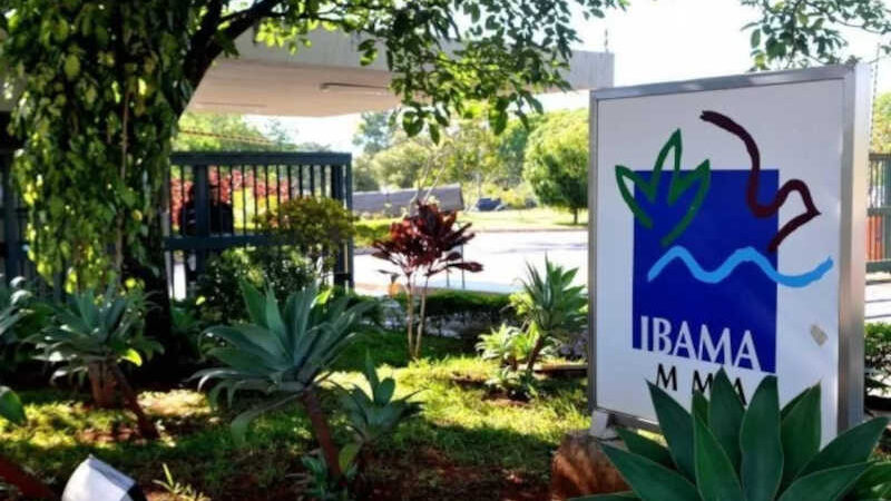 Ibama repudia “intimidação” a servidores no caso da capivara Filó