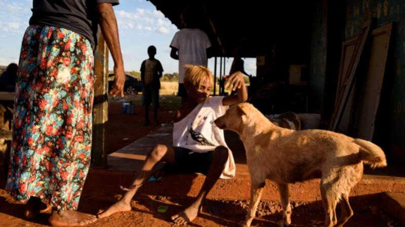 Cuidando dos cães meio selvagens da comunidade aborígene de Yuendumu