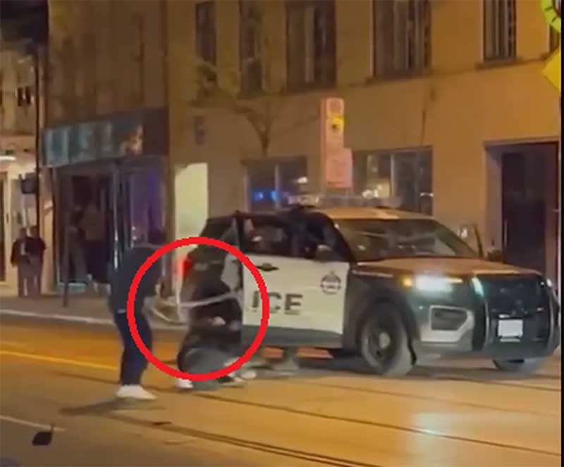 Homem usa cobra de estimação como arma em ataque na rua; veja vídeo