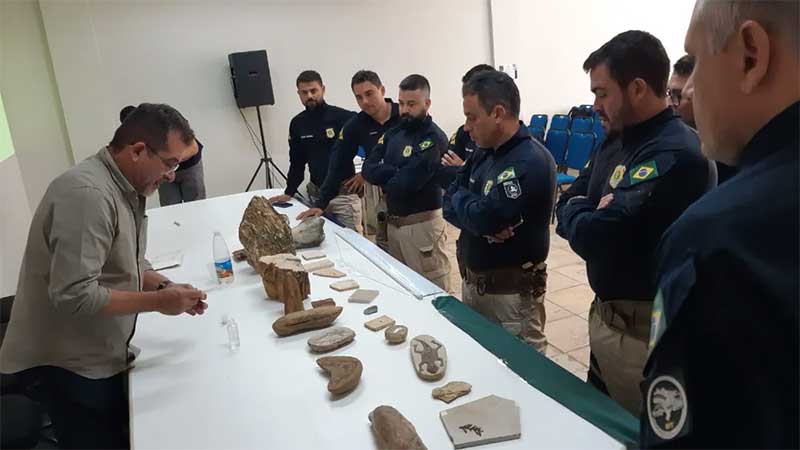 Operação apreende fósseis, resgata 200 aves da fauna brasileira e aplica mais de R$ 100 mil em multas no Ceará