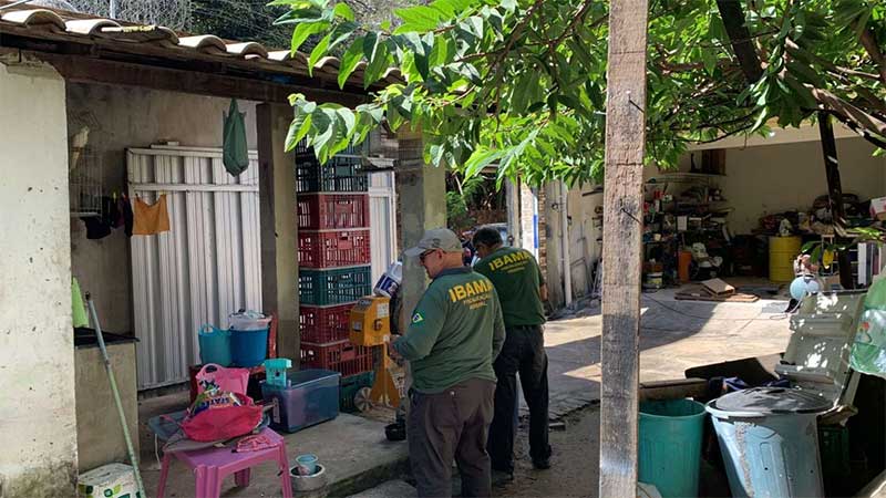 Polícia Civil prende homem com emas, araras e outros pássaros silvestres em Fortaleza, CE