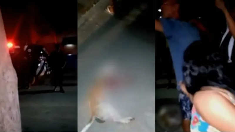 Quase dois anos depois, PM acusado de matar cadela a tiros será ouvido na Justiça, em Fortaleza, CE