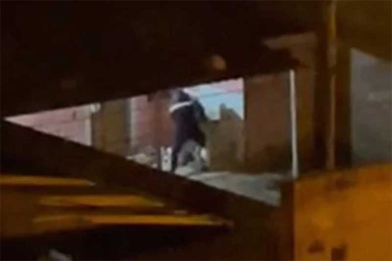Vídeo chocante mostra homem pisando em cachorro no quintal de casa no DF