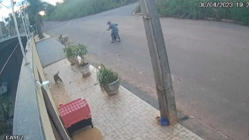 Câmeras de segurança flagram homem jogando bombinhas contra cachorros em calçada, em Anápolis, GO
