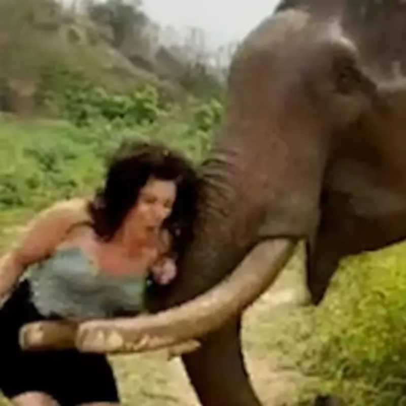 Mulher brinca com elefante e termina esmagada pelo animal; vídeo