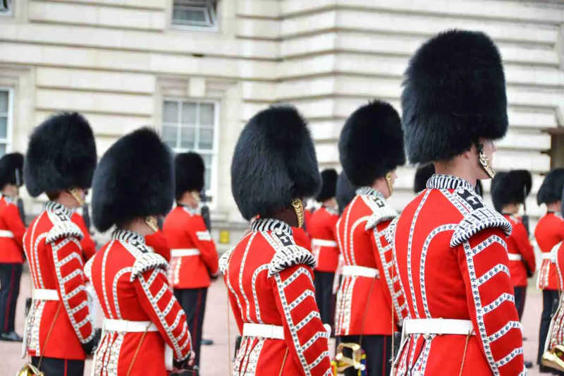 Ursos mortos para se tornarem chapéus para os guardas reais britânicos, é hora de dizer chega!