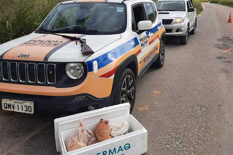 Homem é preso com arma e animais mortos dentro de carro em Almenara, MG