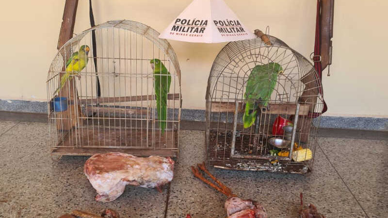 Homem é preso com carcaças de animais silvestres e armas irregulares em Conceição das Alagoas, MG