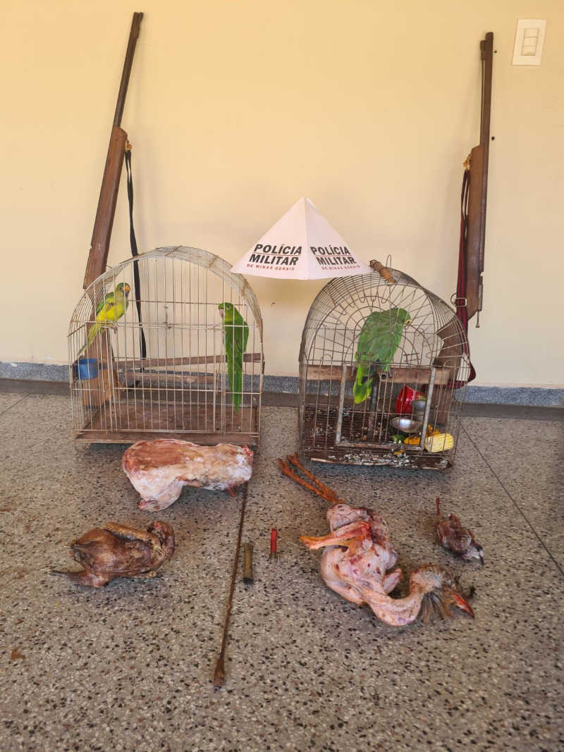 Homem é preso com carcaças de animais silvestres e armas irregulares em Conceição das Alagoas, MG