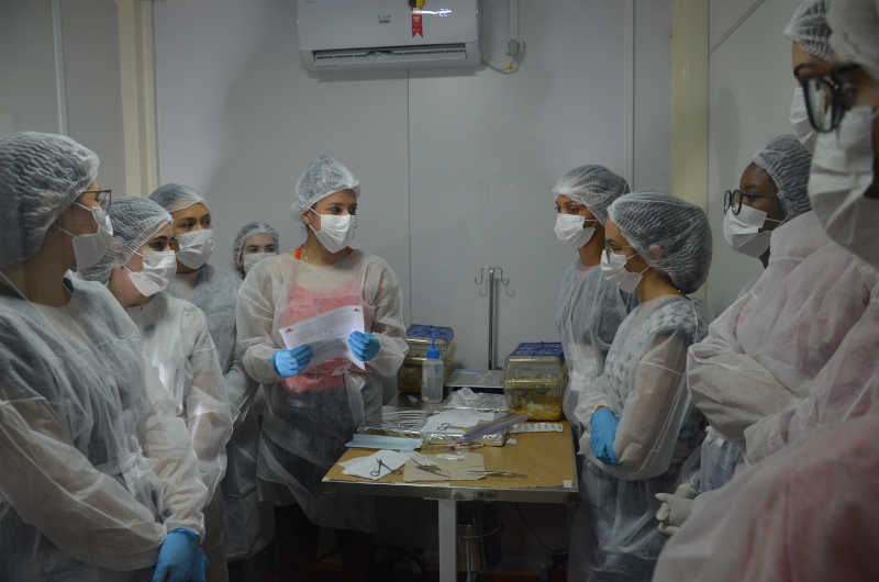 Flávia Ferreira (ao centro, com a folha na mão) atua no laboratório e foi uma das ministrantes do minicurso. (Foto: Alexandre Costa)
