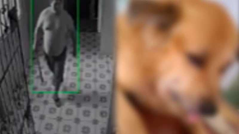 Homem é flagrado agredindo cachorro em condomínio de Ananindeua, PA; vídeo