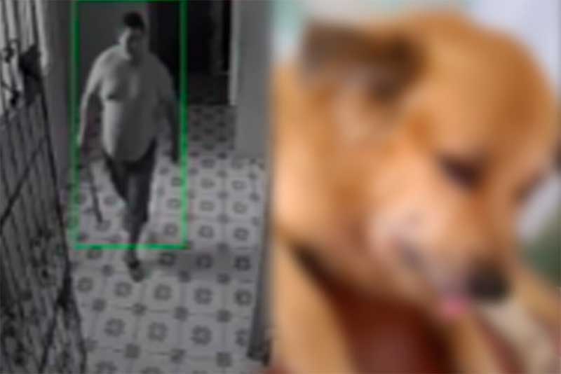 Homem é flagrado agredindo cachorro em condomínio de Ananindeua, PA; vídeo