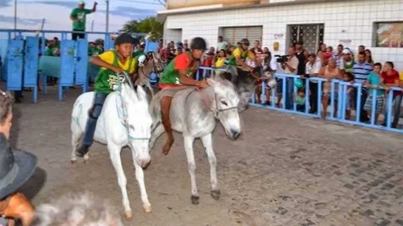 Justiça proíbe corrida de jegues na Paraíba por fomentar trabalho infantil e maus-tratos a animais