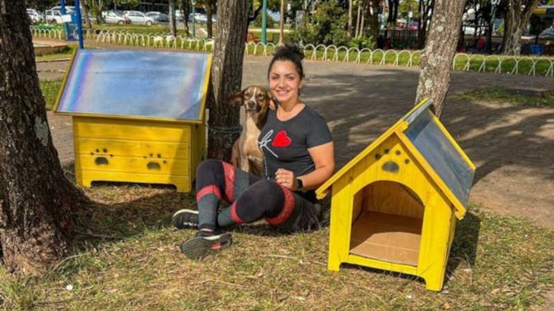 Voluntária instala casinhas para cachorros de rua na Praça da República, em Loanda, PR