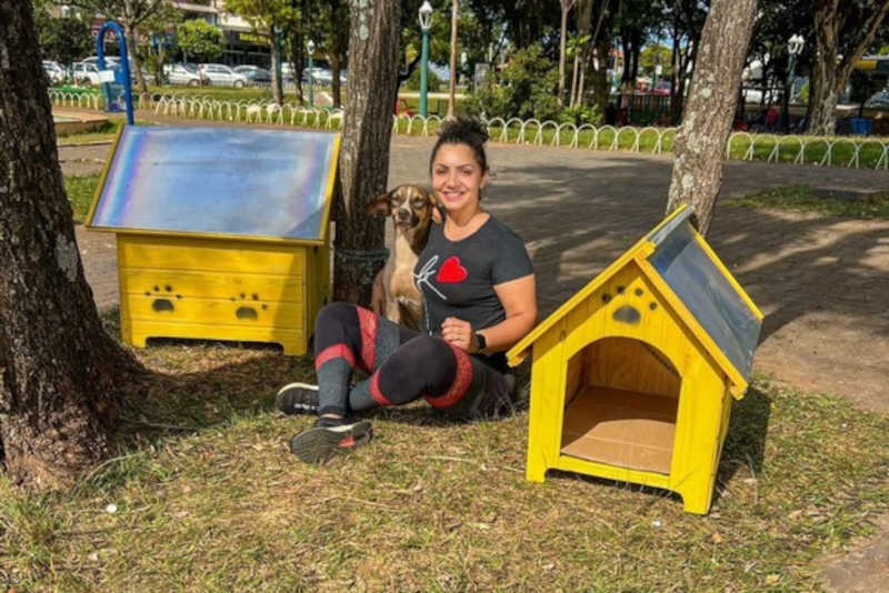 Voluntária instala casinhas para cachorros de rua na Praça da República, em Loanda, PR