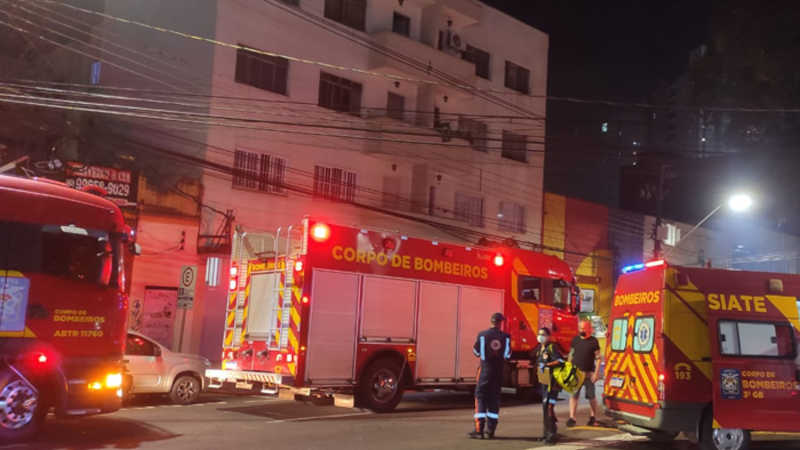 Vaquinha online tenta ajudar gatinhos resgatados de incêndio em Londrina, PR