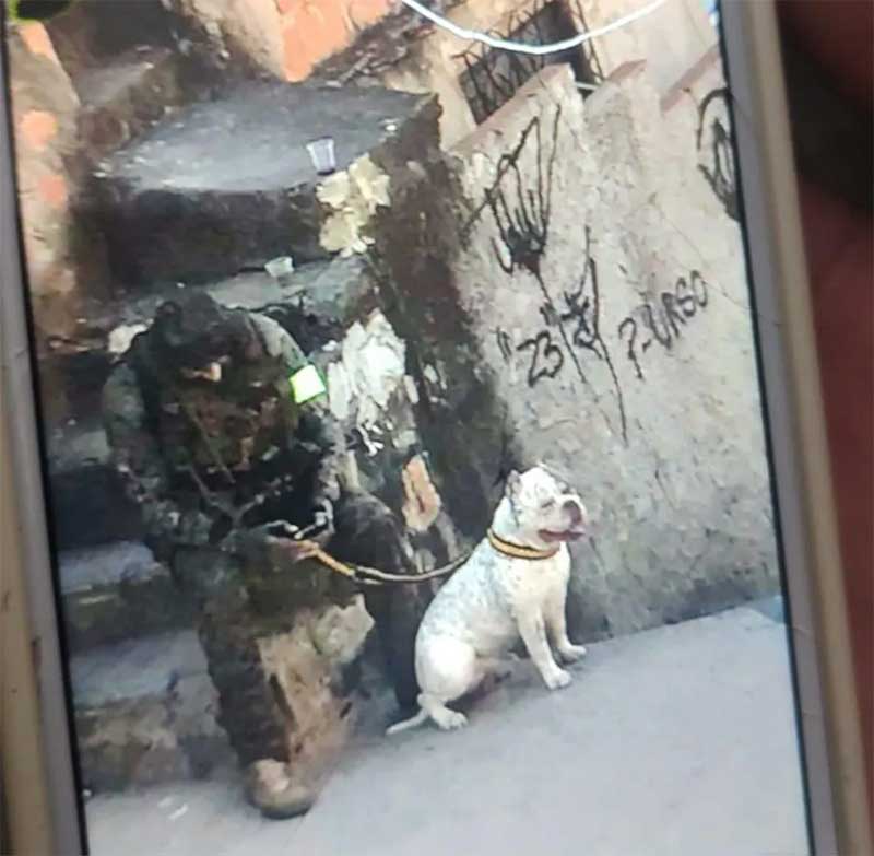 Moradora do Complexo do Alemão diz que cachorro foi levado por PMs durante operação