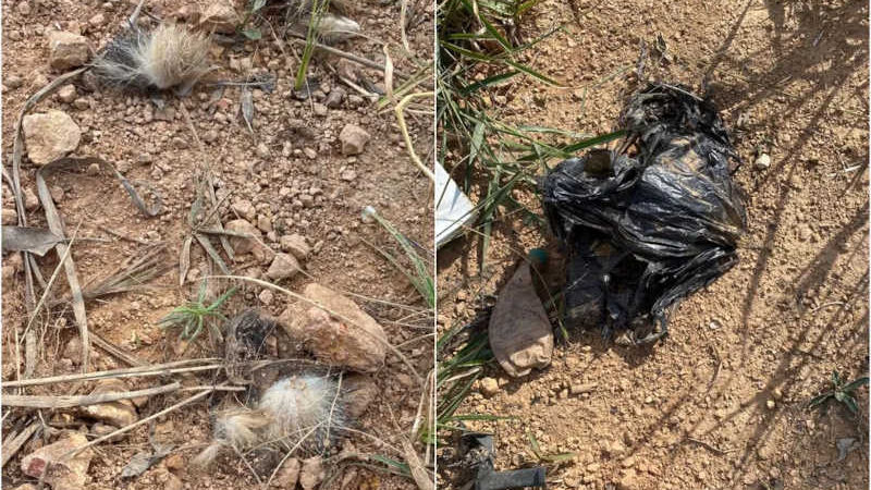 Ministério Público e Polícia Ambiental investigam cemitério clandestino de animais usado por ONG no interior de SP