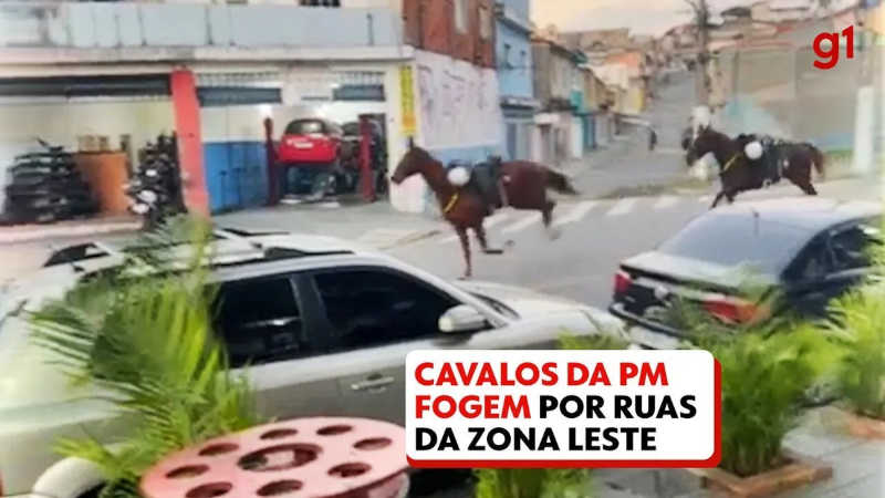 Cavalo da PM se assusta, dá coice em agente e foge com outros dois animais por ruas da zona leste de SP