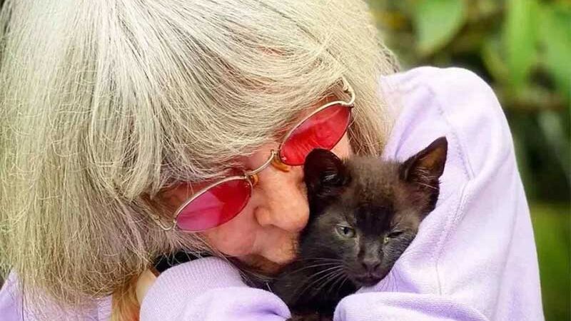 Vegana, Rita Lee dedicou últimos anos de vida à causa animal