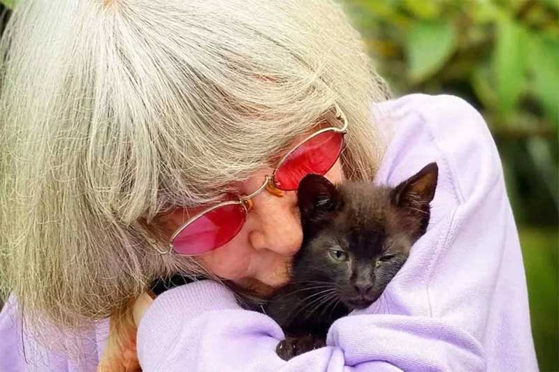 Vegana, Rita Lee dedicou últimos anos de vida à causa animal