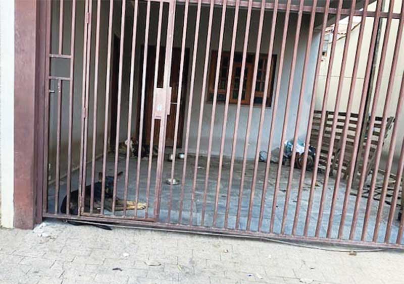 Moradores denunciam cães estarem presos sem água e comida, em Vargem Grande do Sul, SP