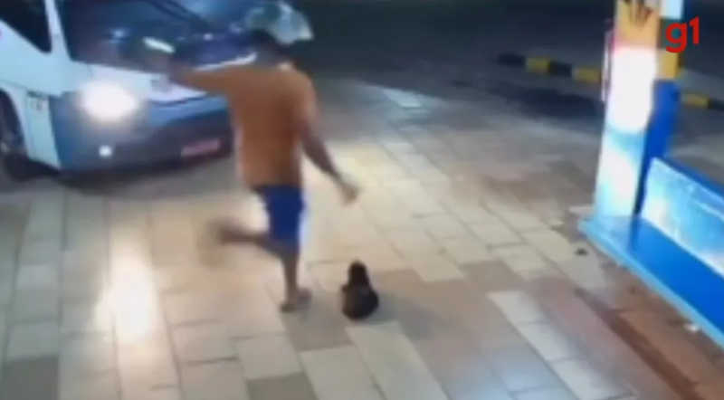 Câmera flagra o momento em que homem dá chute em gato dentro de rodoviária em TO; vídeo