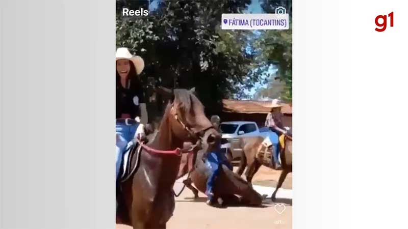 Cavalo cai e morre durante cavalgada no interior do Tocantins; vídeo