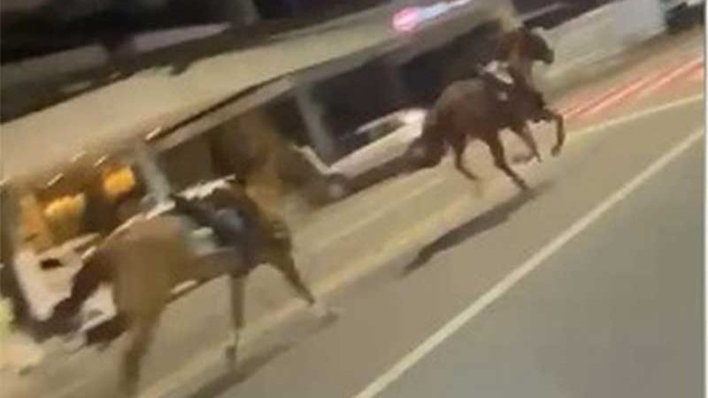Cavalos da PM fogem assustados com barulho de fogos do São João de Maceió, AL; vídeo