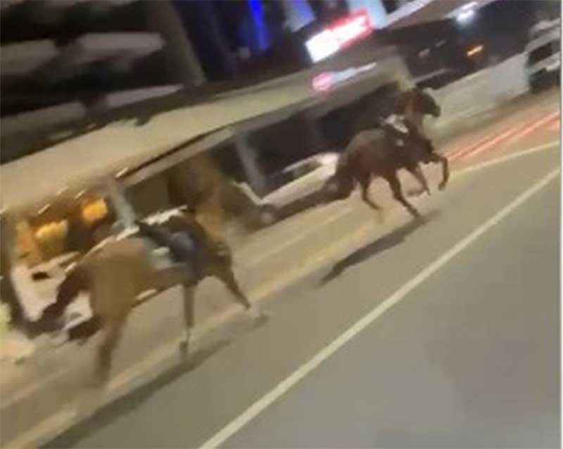 Cavalos da PM fogem assustados com barulho de fogos do São João de Maceió, AL; vídeo