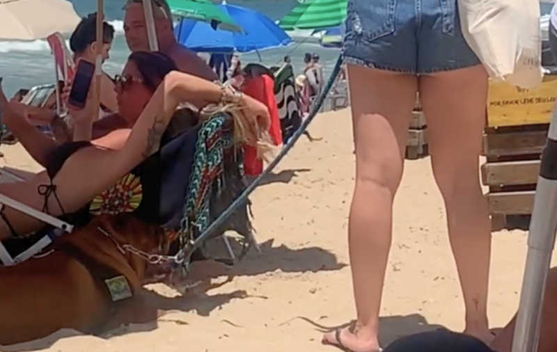 Mulher faz cachorro andar sobre areia de praia em sol de rachar os pés