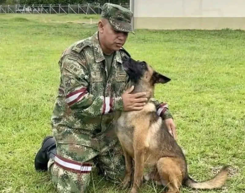 Militares da Colômbia afirmam que só vão parar após encontrarem cão Wilson