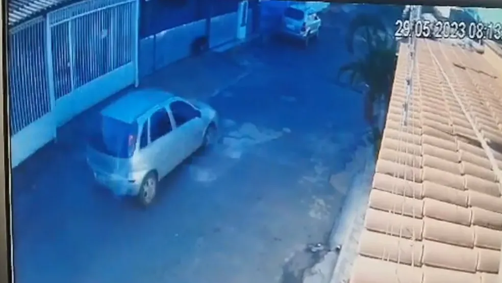 Homem persegue e esfaqueia cachorro em Ceilândia, no DF; vídeo