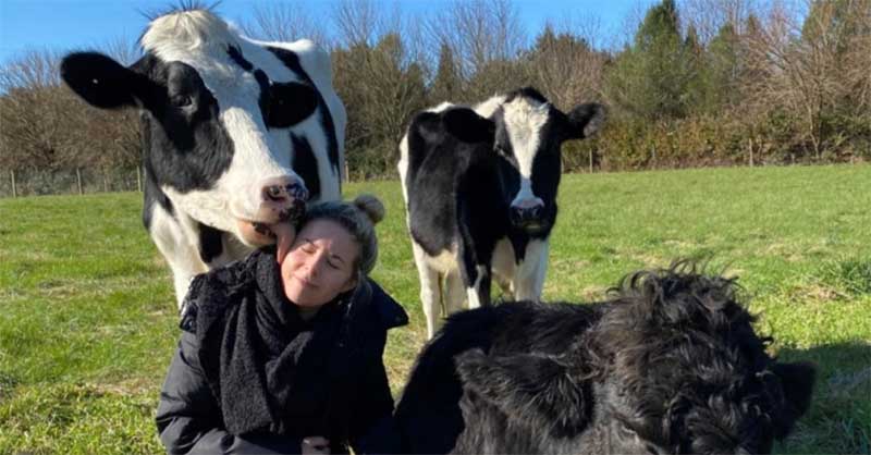 Vaca cega não consegue parar de beijar e abraçar quem a salvou do matadouro