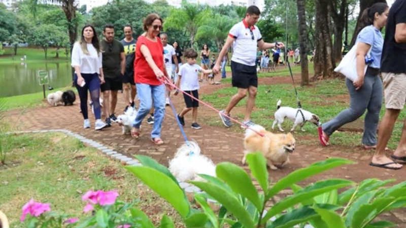 Cãominhada mobiliza tutores no combate a maus-tratos contra pets, em Goiânia, GO
