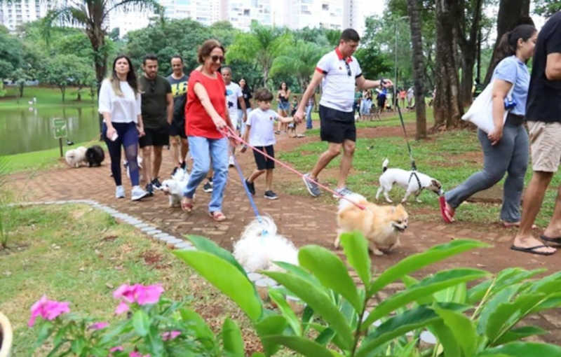 Cãominhada mobiliza tutores no combate a maus-tratos contra pets, em Goiânia, GO