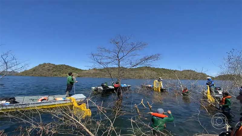 Pesquisadores enfrentam água até o pescoço para salvar animais ilhados no lago Serra da Mesa, GO