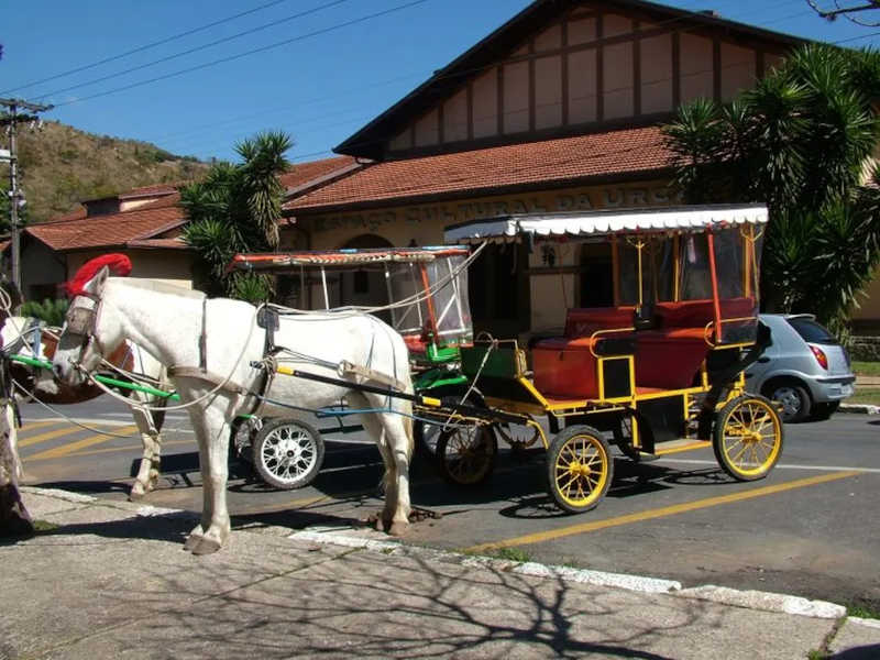 Poços de Caldas tem charretes com animais como atração turística e poderá substituir por carruagens elétricas — Foto: Divulgação/Prefeitura de Poços de Caldas