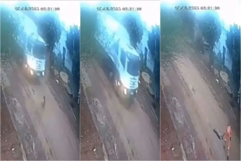 Vídeo mostra cão sendo atropelado e jogado como lixo em caçamba, em Rondonópolis, MT