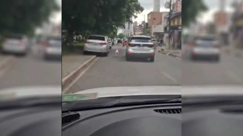 Homem é flagrado arrastando cachorro fora do carro enquanto dirige em Belém, PA