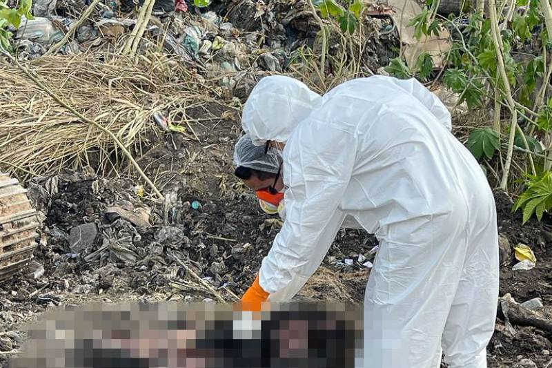 Animal morto em cavalgada no Pará passa por exames periciais