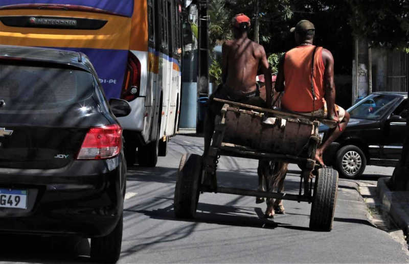 Sem fiscalização da lei contra a tração animal, carroceiros continuam utilizando cavalos para trabalhar. Foto: Bruno Campos / JC IMAGEM