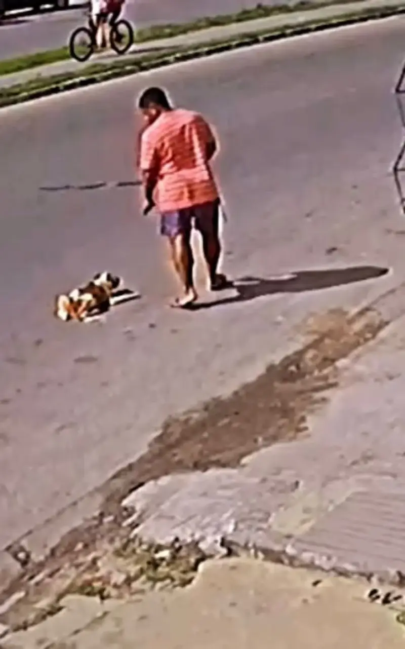 Homem é preso por bater com vara em cachorro e arrastá-lo, em Campos, RJ
