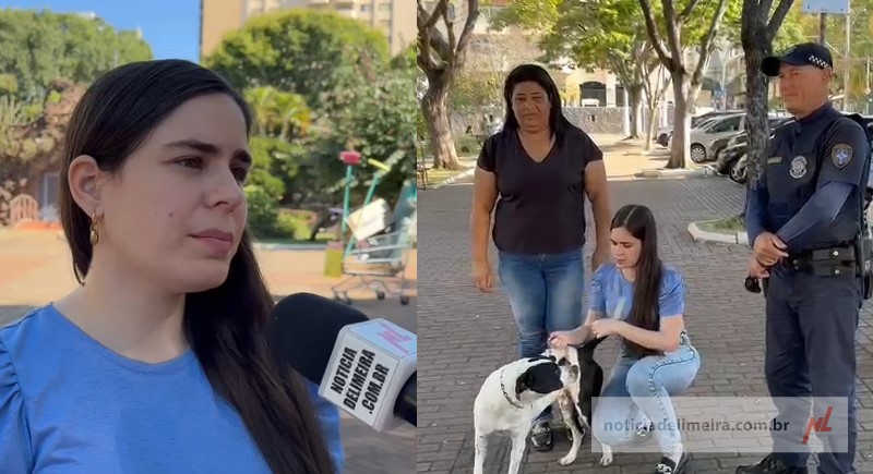 Cão vítima de suposta zoofilia é resgatado na praça Toledo Barros, em Limeira, SP
