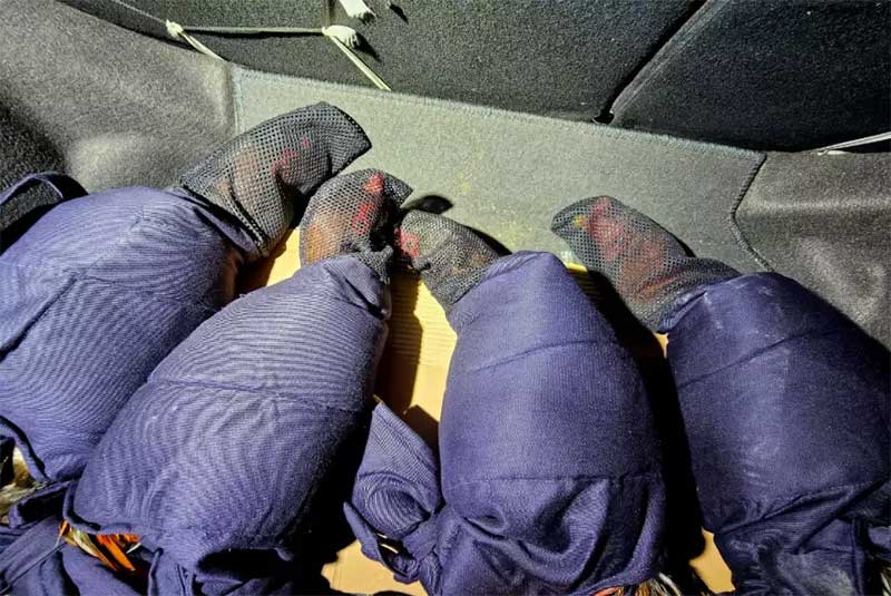 Homens são detidos com galos que seriam usados em rinha em Paulínia, SP