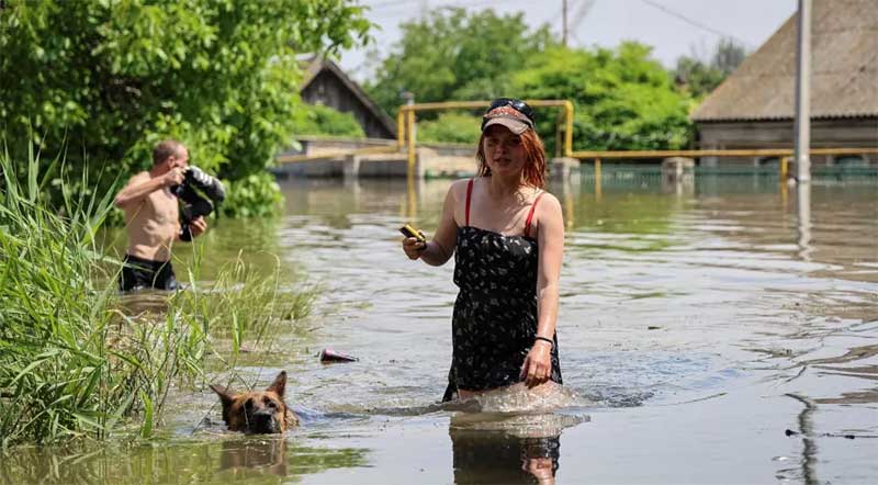 Veterinários ucranianos resgatam animais de áreas alagadas em Kherson