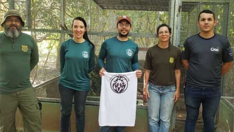 Semace em parceria com Ibama e Instituto Pró-Silvestre realizam soltura de animal silvestre ameaçado de extinção