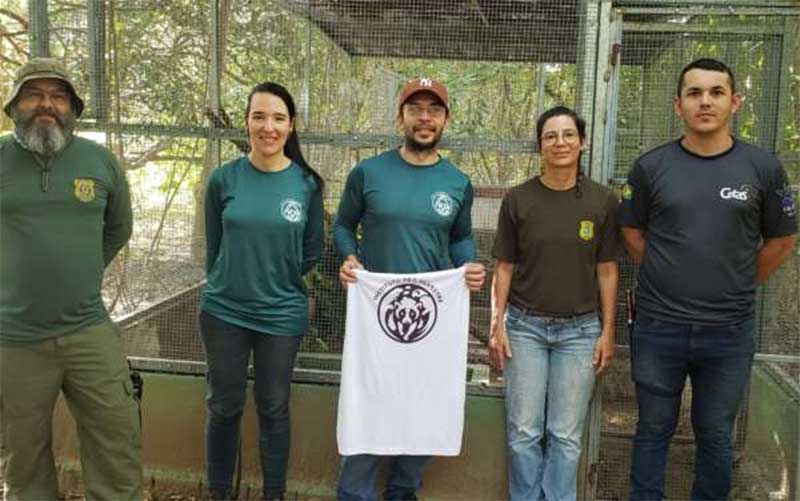 Semace em parceria com Ibama e Instituto Pró-Silvestre realizam soltura de animal silvestre ameaçado de extinção
