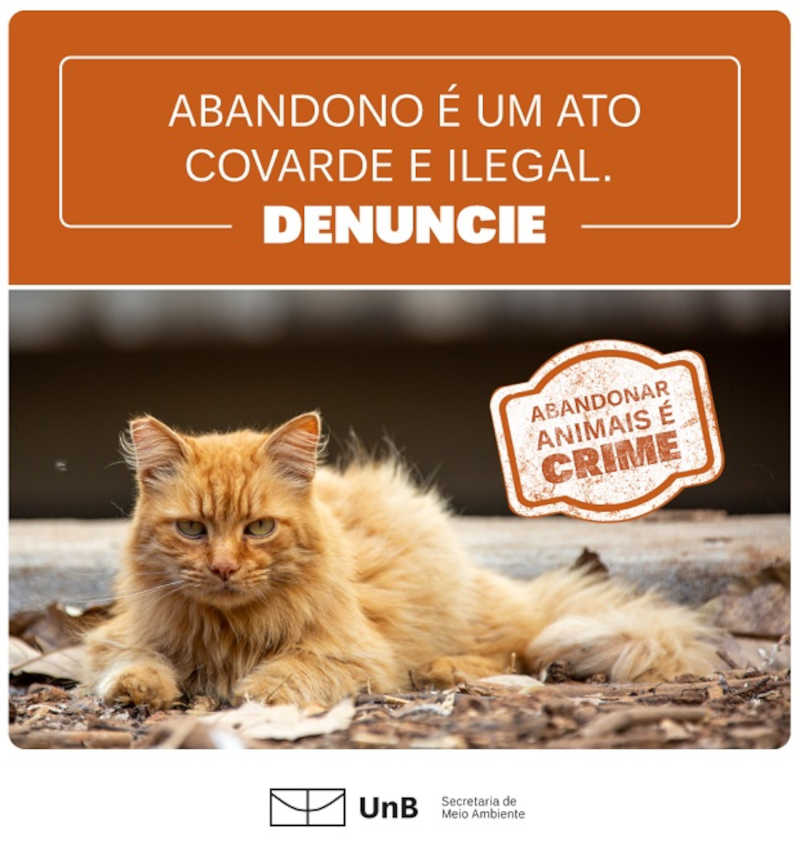Secretaria de Meio Ambiente lança campanha contra abandono de animais nos campi da Universidade de Brasília