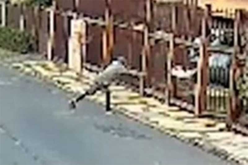 Homem que arremessou cachorro contra portão no Lago Sul (DF) é solto